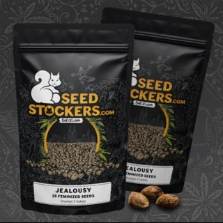 Jealousy  fem.   15 u. Seedstockers