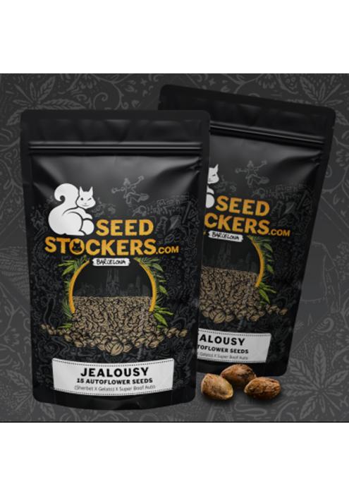 Jealousy Auto   15 u. Seedstockers