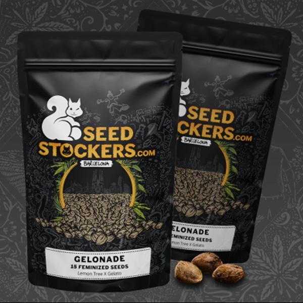 Gelonade  fem.   15 u. Seedstockers