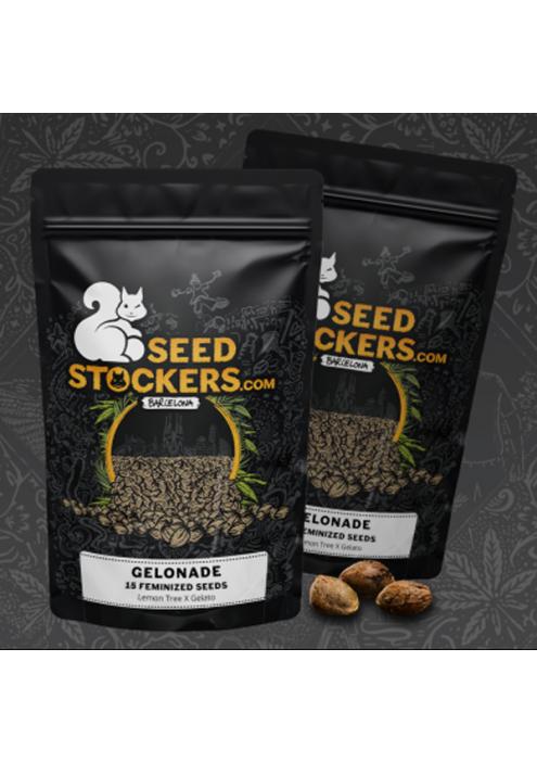 Gelonade  fem.   15 u. Seedstockers