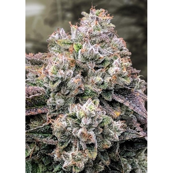 Strawberry Banana Fast High Speed Buds