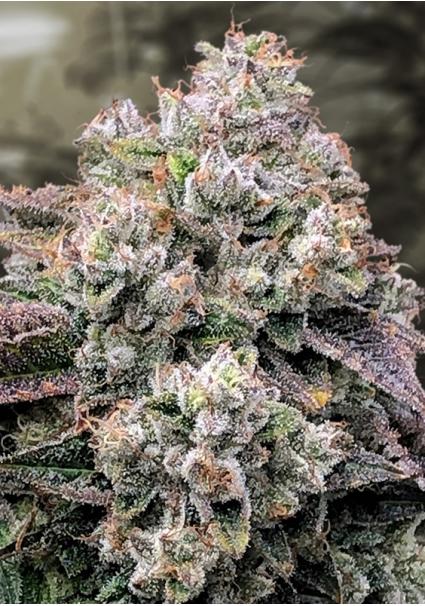 Strawberry Banana Fast High...