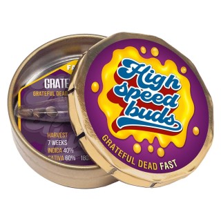 Grateful Dead Fast  High Speed Buds