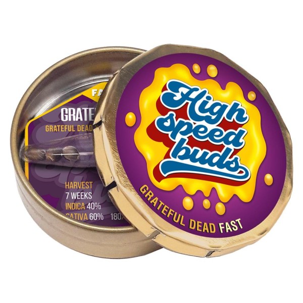 Grateful Dead Fast  High Speed Buds
