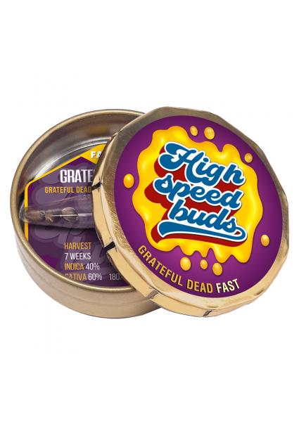 Grateful Dead Fast  High...