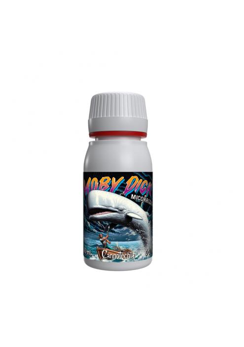 Moby Dick Cannotecnia