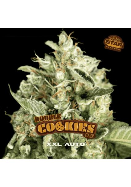 Auto Double Cookies   fem...