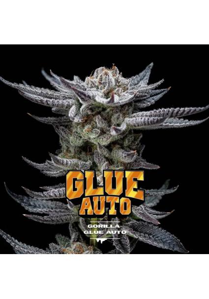 Auto Gorilla Glue  fem BSF...