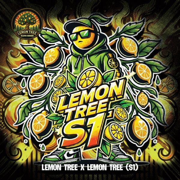 Lemon Tree S1 Elev8 Seeds