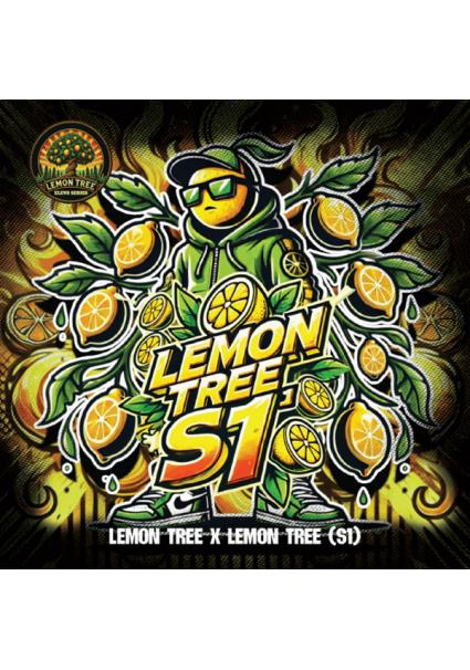 Lemon Tree S1   fem Elev8...