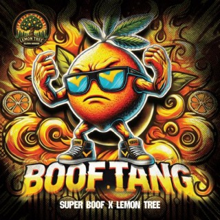 Boof Tang  fem Elev8 Seeds