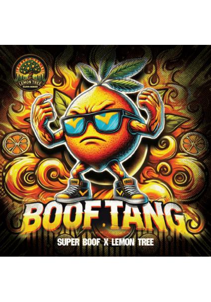 Boof Tang  fem Elev8 Seeds