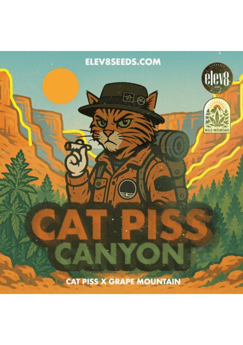 Cat Piss Canyon Elev8 Seeds