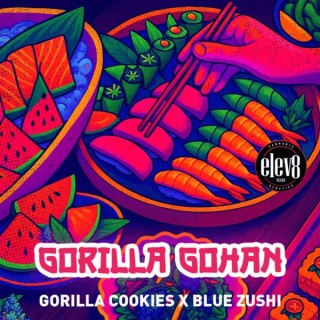 Gorilla Gohan  fem Elev8 Seeds