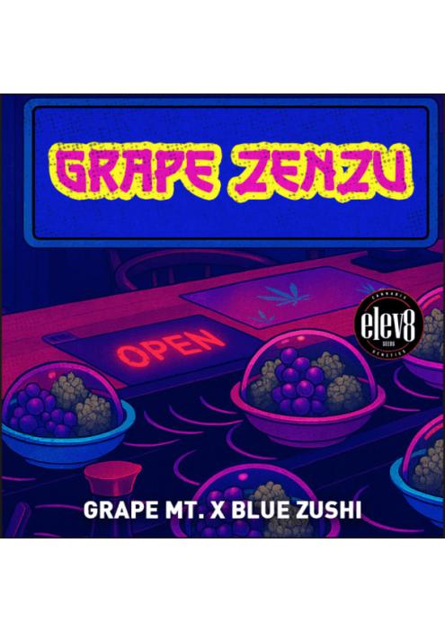 Grape Zenzu  fem Elev8 Seeds