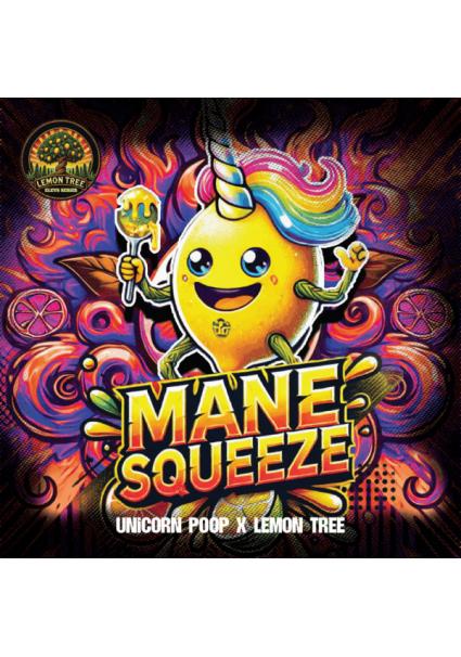 Mane Squeeze  fem Elev8 Seeds