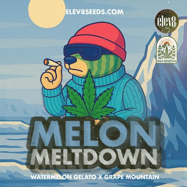 Melon Meltdown Elev8 Seeds