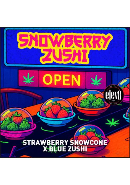 Snowberry Zushi  fem Elev8 Seeds