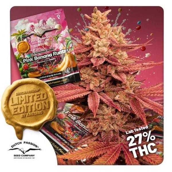 Pink Banana Runtz   5 u.  Limited Edition