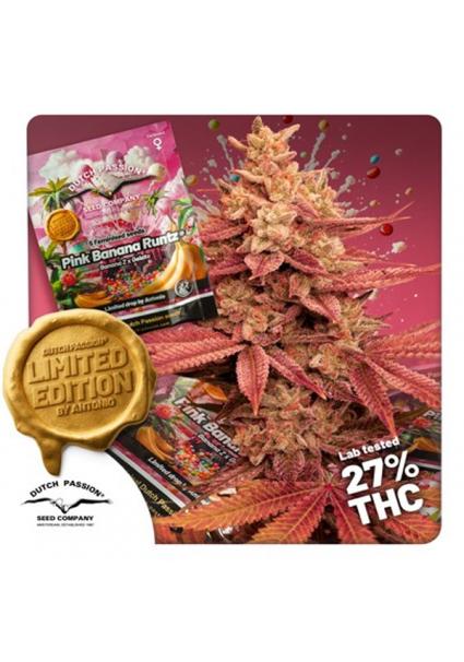 Pink Banana Runtz   5 u....