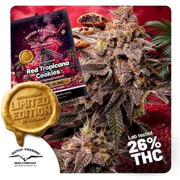 Red Tropicana Cookies   5 u.  Limited Edition