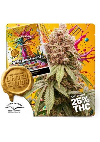 White Gushers  33 -  5 u....