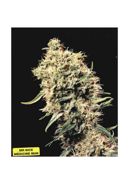 Medicine Man 15 u. reg. Mr....