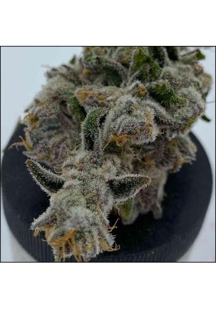 Cakes N Cream 3 u....