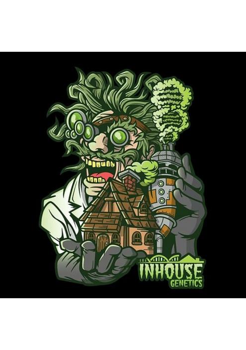 Platinumz 3 u. fem In House Genetics