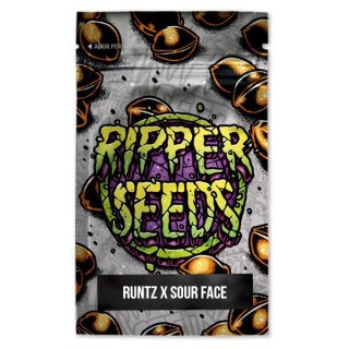 Runtz x Sour Face 3 u. fem. Ed. Lim. Ripper Seeds
