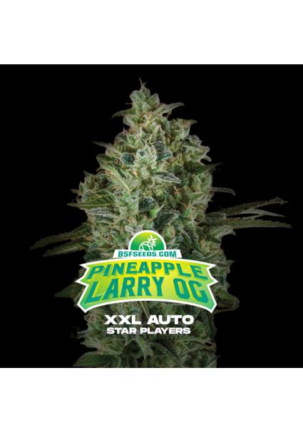 Auto Pineapple Larry OG XXL...