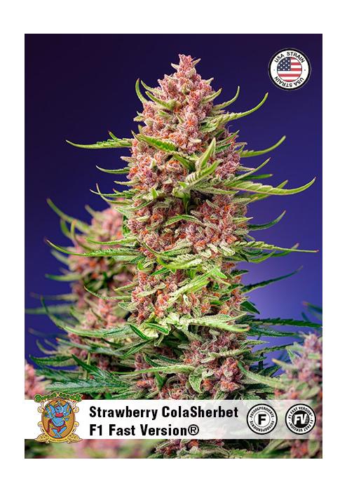 STRAWBERRY COLA SHERBET FAST VERSION