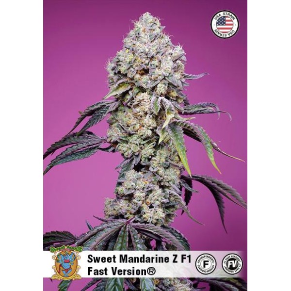Comprar Sweet Mandarine Zkittlez Fast Version barata de Sweet Seeds