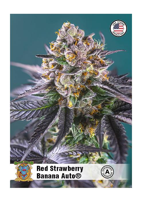 RED STRAWBERRY BANANA AUTO