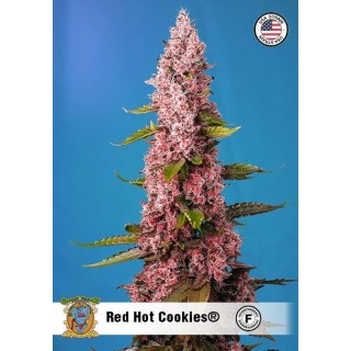 Red Hot Cookies | Semillas de marihuana Feminizadas