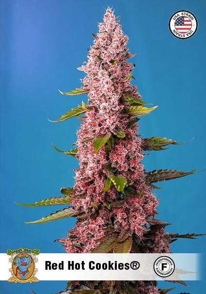 RED HOT COOKIES