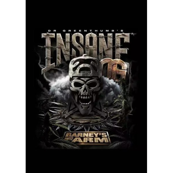 Insane OG   Barney's x Dr. Greenthumb