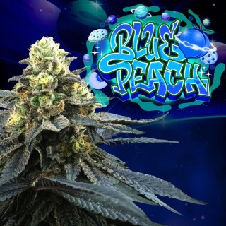 BLUE PEACH