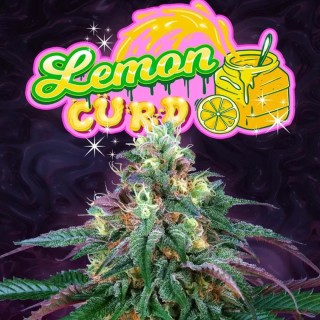 LEMON CURD