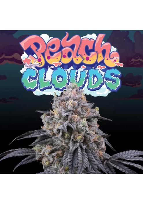 PEACH CLOUDS