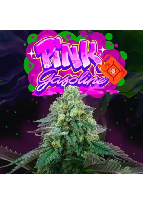 PINK GASOLINE