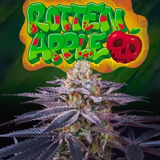 ROTTEN APPLE