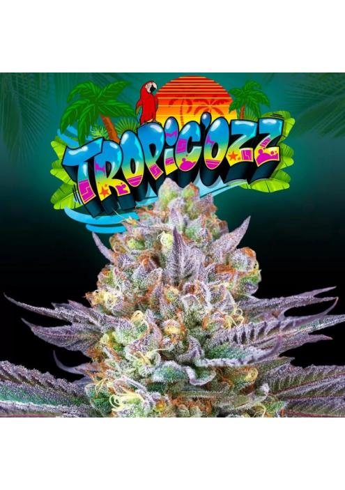 TROPICOZZ