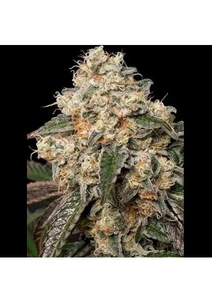 FORBIDDEN FRUIT CAKE