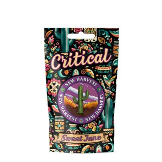 Flores CBD Sweet Jane Critical