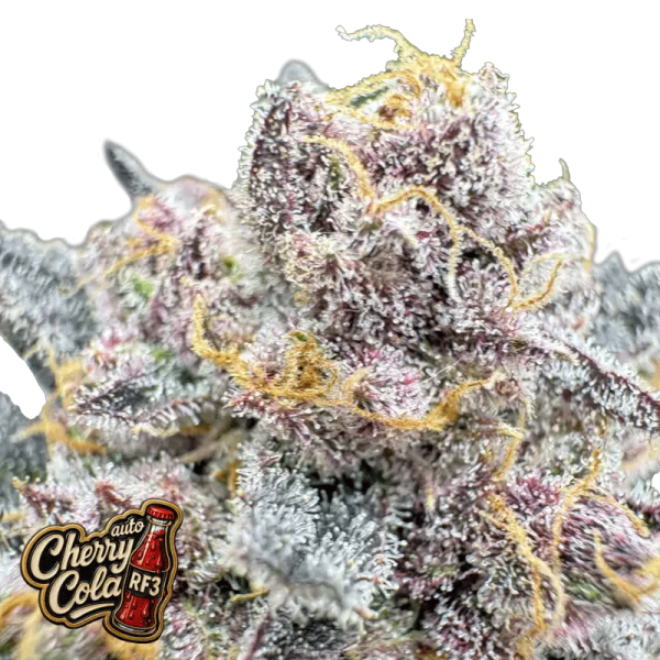 Cherry Cola Auto RF3