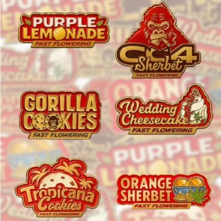 Mix Pack Fast Flowering