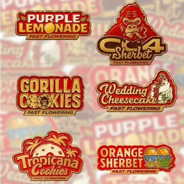 Mix Pack Fast Flowering