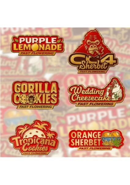 Mix Pack Fast Flowering