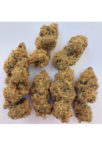 Magic Carrot   5 u. Regular...